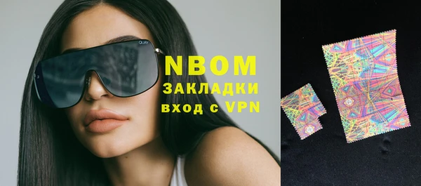 СК Пересвет