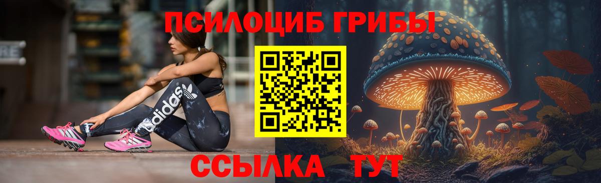 Псилоцибиновые грибы Cubensis Красный Сулин